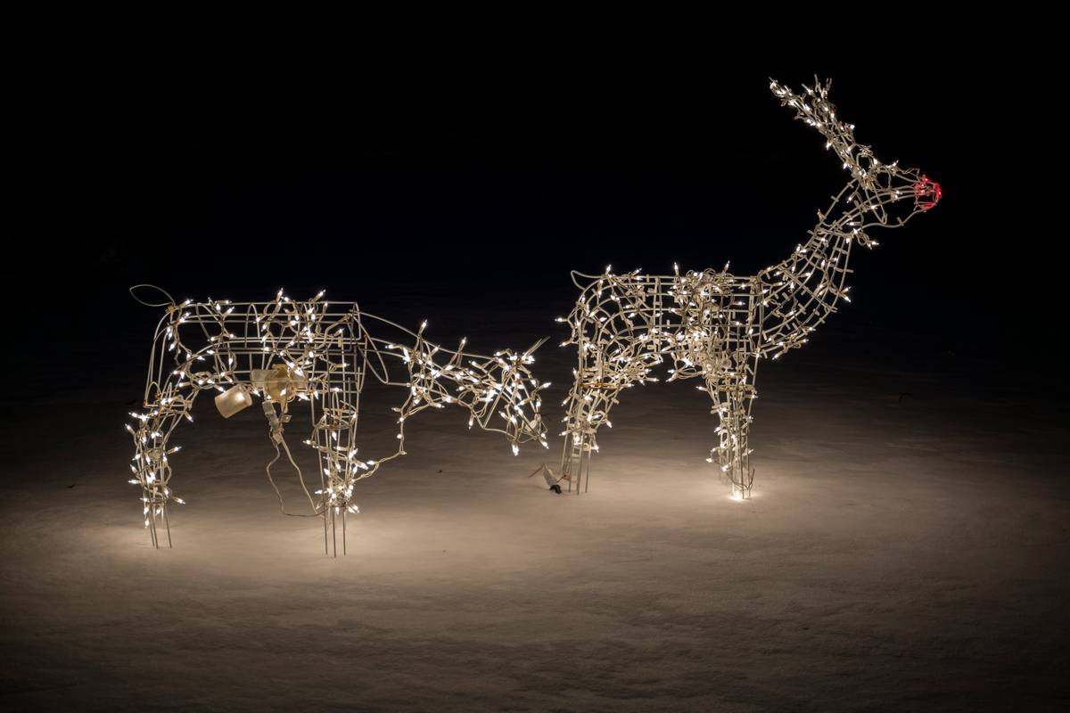 Before: bare suburban lawn. After: wire frame deer grazing near birch logs with warm white lights at twilight