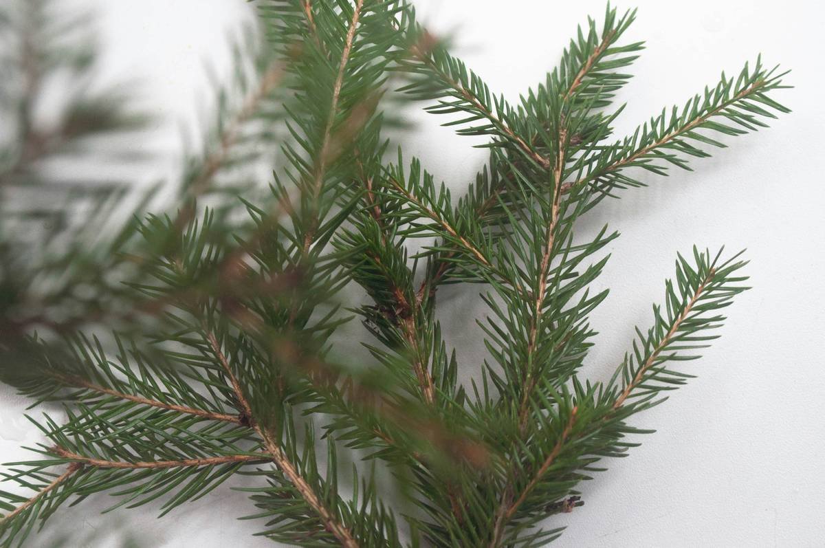 Close-up of tree pick floral accents nestled among vintage Christmas ornaments on a real pine tree