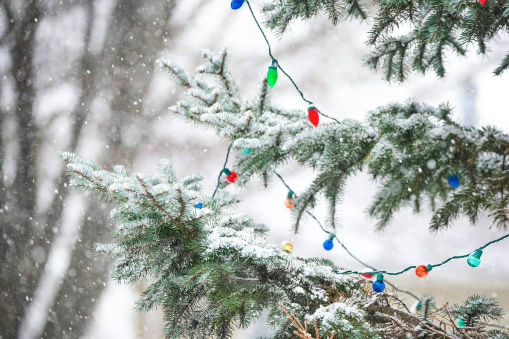 How to Use a Net Light Bush Cover for Instant Outdoor Christmas Magic