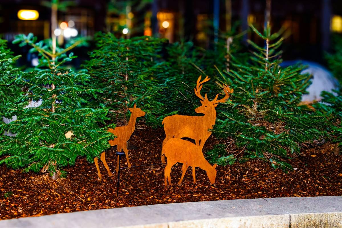 Outdoor Christmas lights secured with magnetic roof clip on metal roof edge