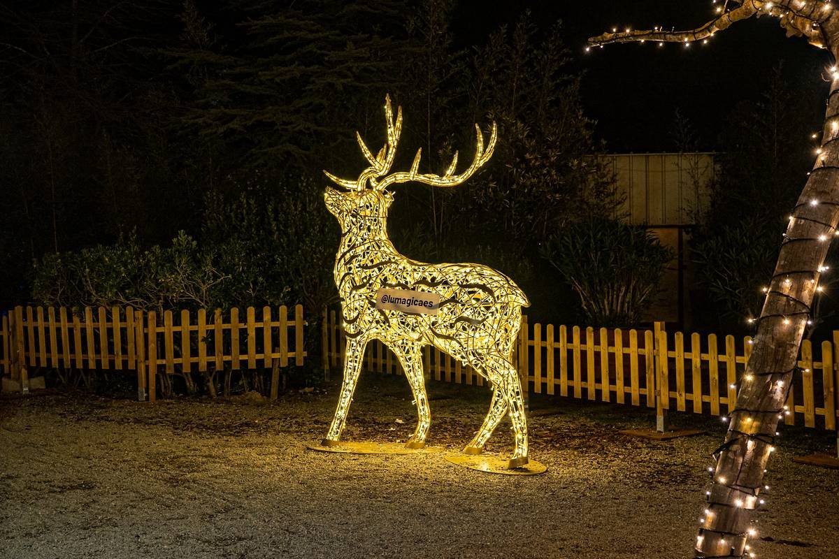 Wire Frame Deer: Your Ultimate Guide to Choosing, Styling, and Avoiding Holiday Heartbreak