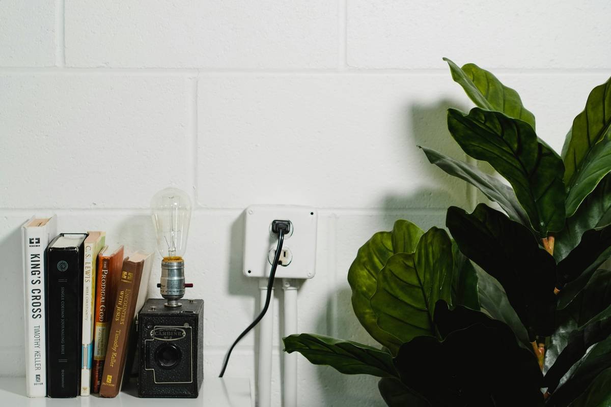 Security Timer Switch: 7 Proven Ways to Avoid Costly Outdoor Christmas Decoration Mistakes