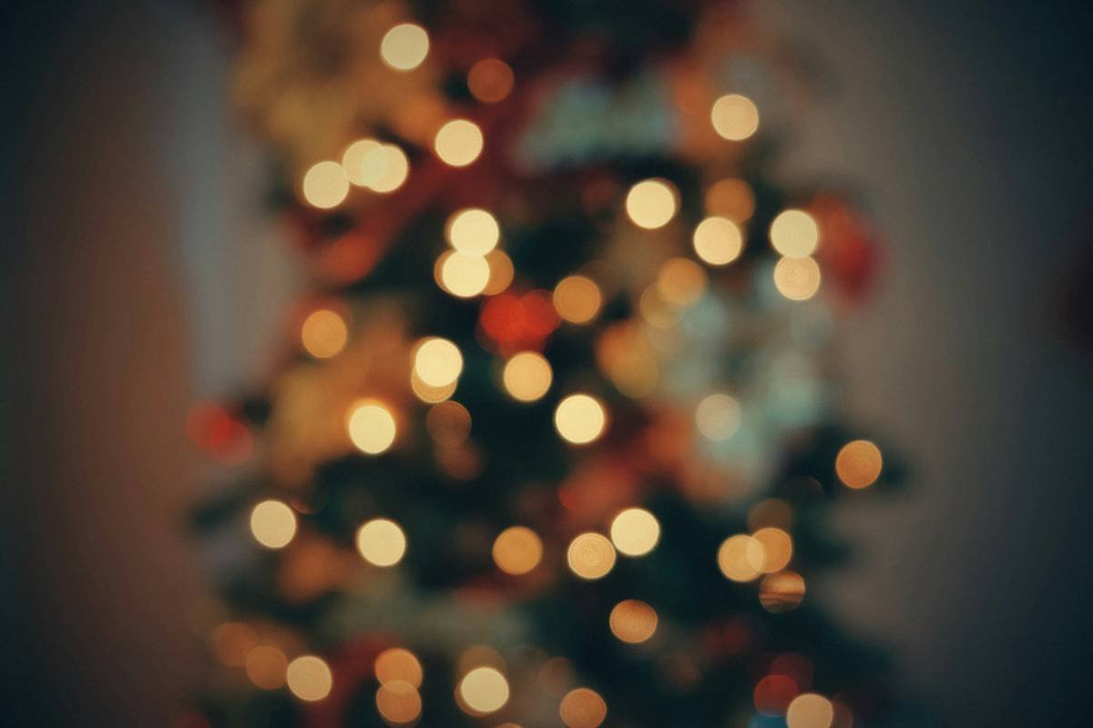 LED Net Light: 7 Proven Ways to Avoid Painful Outdoor Christmas Decoration Mistakes