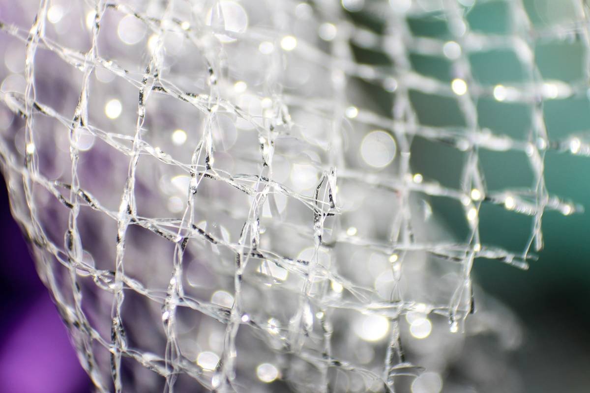led net light draped evenly over an outdoor evergreen bush at night