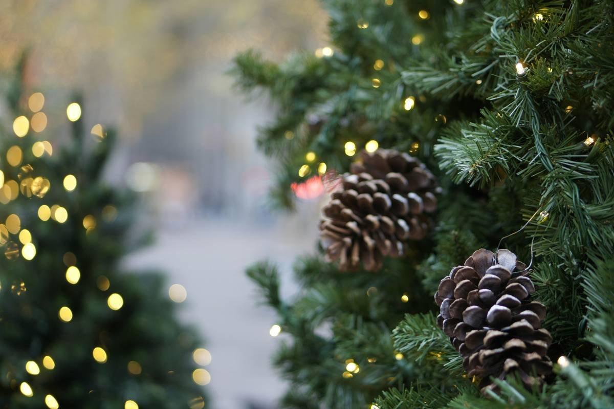 Textured Pinecone Filler: 7 Proven Tips to Avoid Painful Christmas Decorating Mistakes
