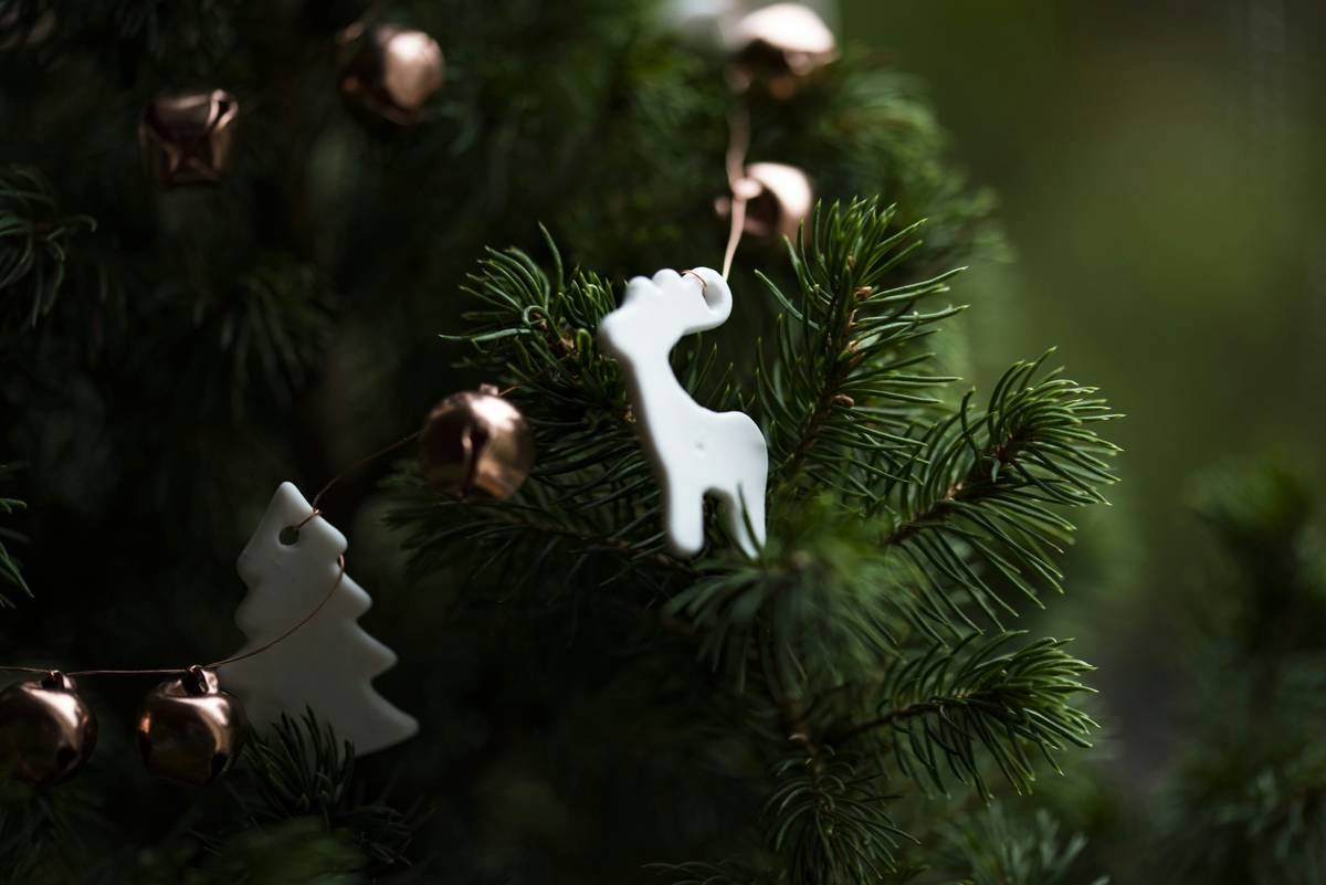 Feather Bird Clip: 7 Proven Tips to Avoid Painful Christmas Decorating Mistakes