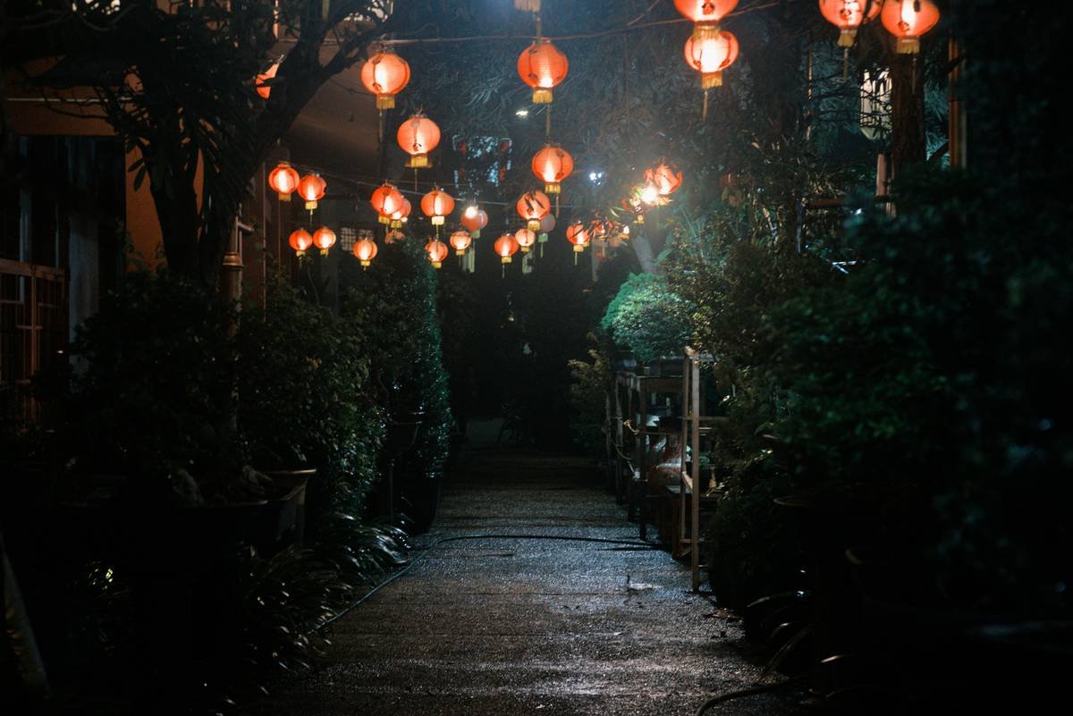 Pathway Candy Cane Stake: 7 Proven Tips to Avoid Costly Outdoor Decorating Mistakes